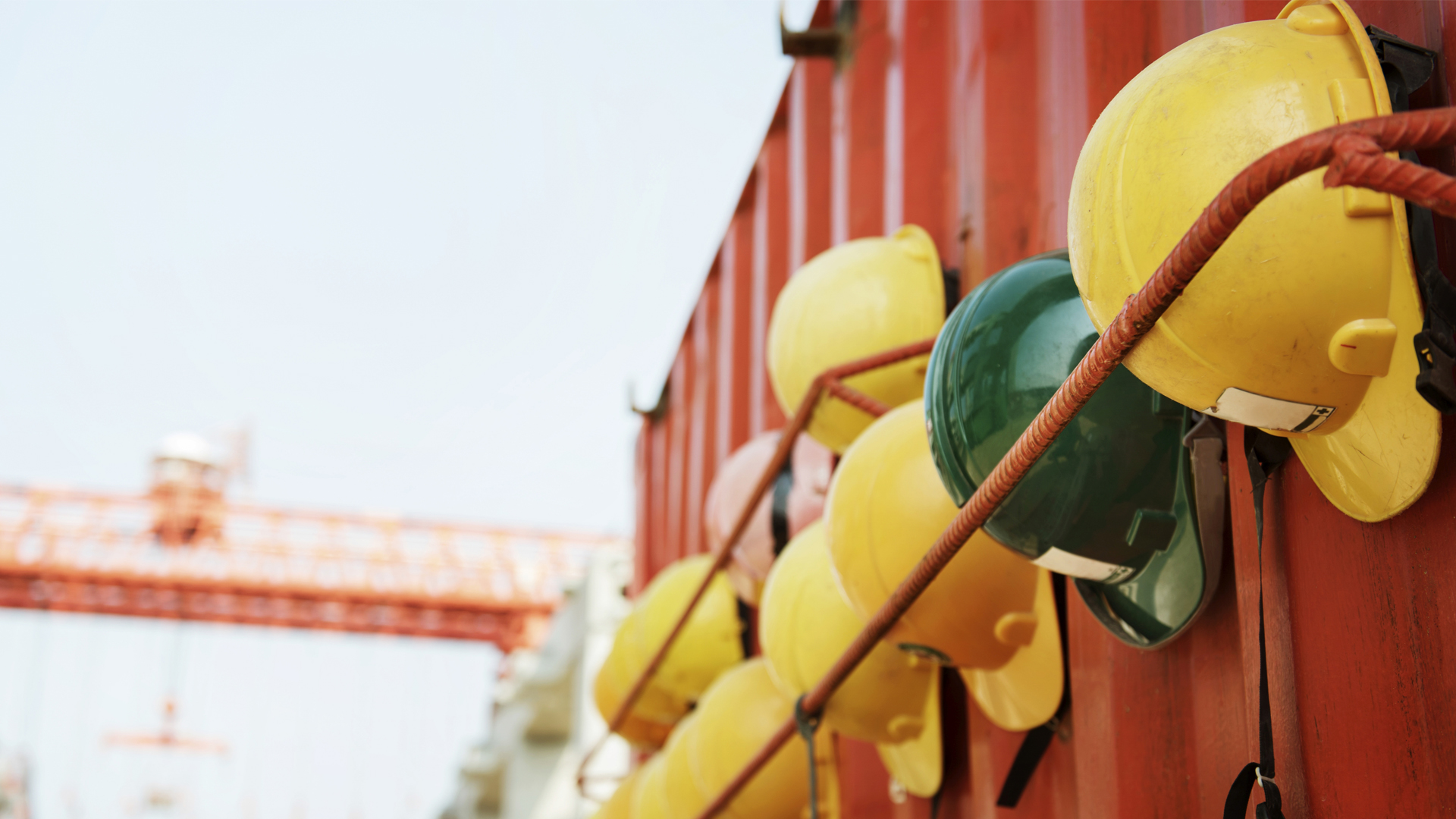 Sfondo Safety Engineering Unibo